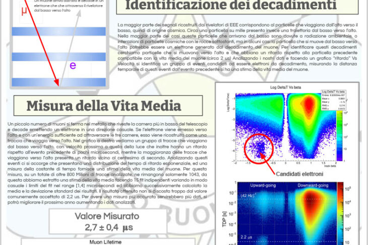 VitaMedia