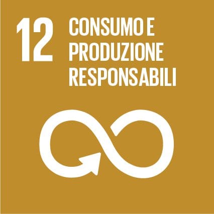 agenda-2030-sviluppo-sostenibile-consumo-produzione-responsabili-9fdf75f88d964692d8cf1ea00e372bf7